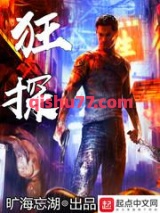 狂探小说