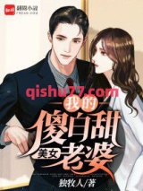 我的傻白甜美女老婆小说