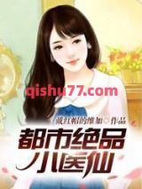 都市绝品小医仙小说