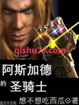 阿斯加德的圣骑士小说