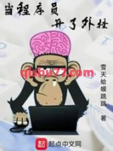当程序员开了外挂小说