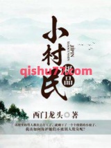极品小村民小说