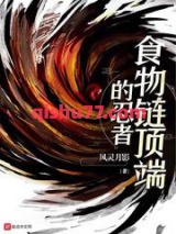 食物链顶端的忍者小说
