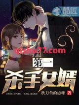 第一杀手女婿小说