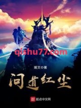 问道红尘小说