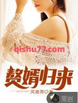 赘婿归来小说