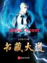 书藏大道小说