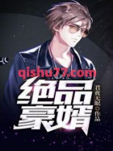 绝品豪婿小说