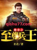 都市之至尊兵王小说
