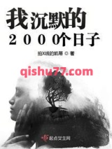 我沉默的2000个日子小说