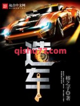 造车小说
