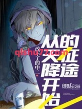 从天降开始的征途小说