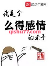 我是个么得感情的杀手小说