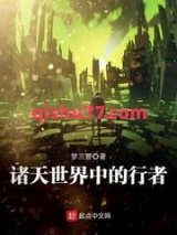 诸天世界中的行者小说