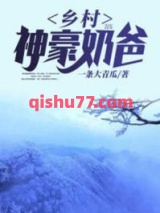 乡村神豪奶爸小说