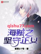 海贼之坚守正义小说