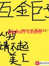 互金巨子小说