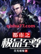 都市之极品至尊小说