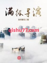 满级导演小说