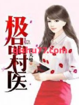 极品村医小说