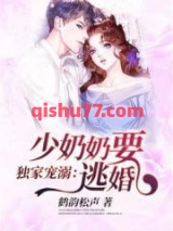 独家宠溺：少奶奶要逃婚小说