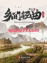 乡间轻曲小说