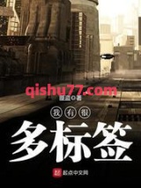 我有很多标签小说