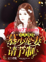 星光璀璨：慕少宠妻请节制小说