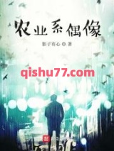 农业系偶像小说