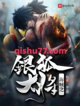 海贼之银狐大将小说