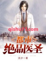 都市绝品医圣小说