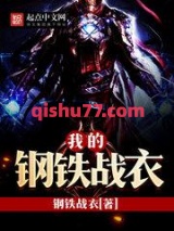 我的钢铁战衣小说