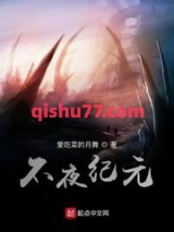不夜纪元小说