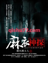 麻衣神探小说