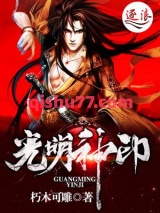 光明神印小说