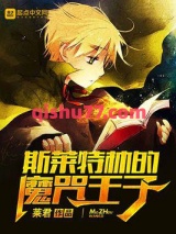 斯莱特林的魔咒王子小说