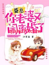 盛总，你老婆又闹离婚了小说