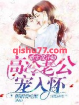 重生设计师：高冷老公宠入怀小说