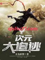 次元大追逃小说