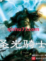 圣光骑士小说