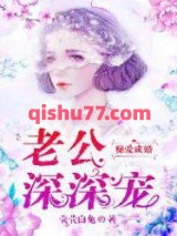 秘爱成婚：老公，深深宠小说