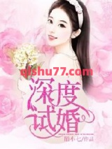 深度试婚小说