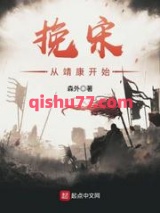挽宋从靖康开始小说