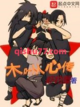 木叶从心传小说