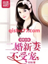 误惹总裁：二婚新妻不受宠小说