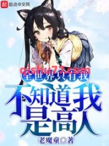 全世界只有我不知道我是高人小说