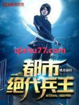 都市绝代兵王小说