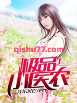 极品小医农小说
