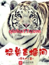 猛兽直播间小说