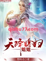 天降媳妇姐姐小说